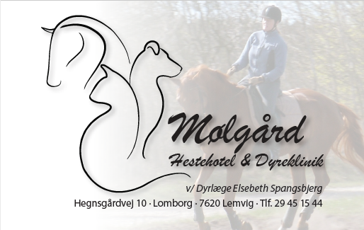 moelgaard-hestehotel-og-dyreklinik